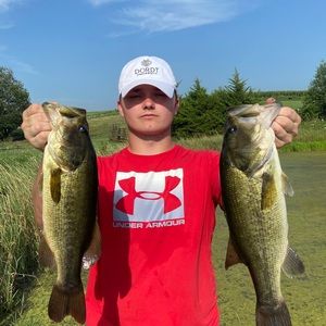 Meet your Posher, Billy